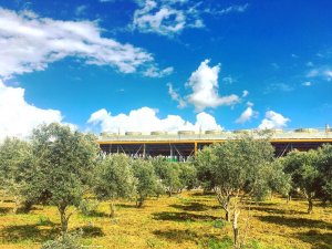 Jesder Başkanı Şentürk: "Aydınlıları Jeotermal Kaynaklarımızla Isıtmaya Hazırız"