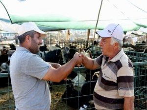 Hayvan Pazarlarında Tokalaşma Tarihe Karışıyor