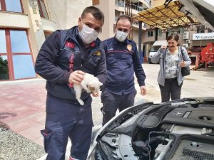 Hareket Halindeki Otomobilden Kedi Sesi Gelince Soluğu İtfaiyede Aldı