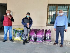 Sökeli Hayvan Severler Sokak Hayvanlarını Yalnız Bırakmıyor