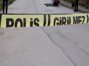 Aydın’da Trafik Kazası: Sürücünün Eşi Hayatını Kaybetti