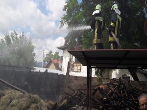 Yangının Ortasında Kalan İneği İtfaiye Ekipleri Kurtardı