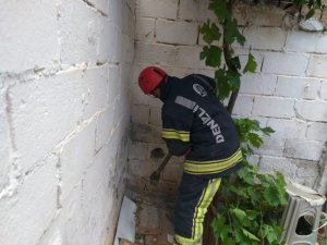 Duvar Arasında Kalan Yavru Kedi İçin İtfaiye Seferber Oldu