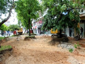 İnsan Hakları Parkı’nda Çalışmalar Başladı