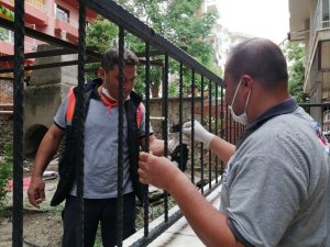 Yavru Kediye Belediye Sahip Çıktı