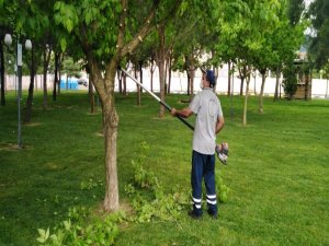 Yunusemre’de Parkların Bakımı Yapılıyor