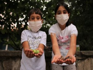 Bahçelerinden Topladıkları Meyveleri Sokak Hayvanları İçin Satıyorlar