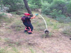 Düştüğü Kuyudan İtfaiye Ekipleri Kurtardı