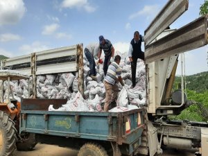 Hisarcık’ta 463 Aileye Kömür Yardımı