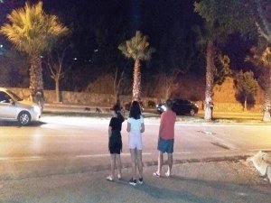 Bodrum’da Şehre İnen Domuz Ailesi İlgi Odağı Oldu