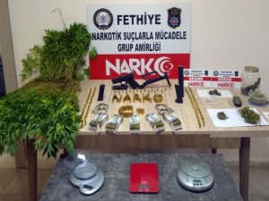 Lüks Villayı Kenevir Tarlasına Çevirmiş