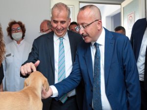 Vali Atik, Sokak Hayvanlarını Sahiplenme Çağrısında Bulundu