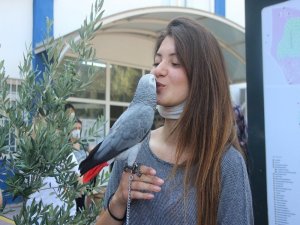 İzmir’de Sosyal Mesafeli Yks Başladı