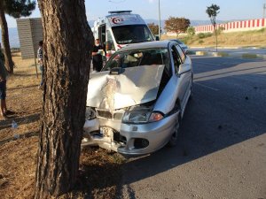 Köpeğe Çarpmak İstemeyen Sürücü Ağaca Çarptı: 2 Yaralı