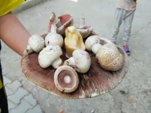 Dev Mantar Görenleri Şaşkına Uğrattı