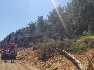 Tunçbilek’te Yangın Büyümeden Söndürüldü