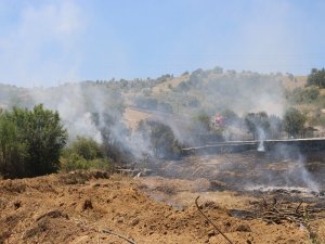 Makilik Alanda Çıkan Yangın, Ağaçlık Alana Sıçradı