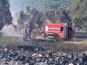 Büyükşehir İtfaiyesi Doğanbey’deki Yangını Büyümeden Söndürdü