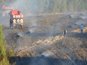 Uşak’ta Korkutan Tarla Yangını
