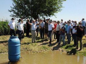 Adü Ziraat Fakültesi’nde Gübrelemede Sulamaya Bağlı Kayıpların Önlenmesi İçin Çalışma Yapıldı