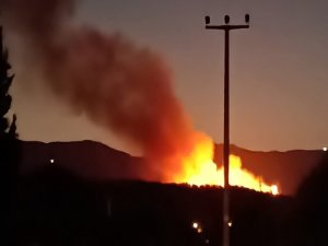 İzmir’deki Orman Yangını Kontrol Altında