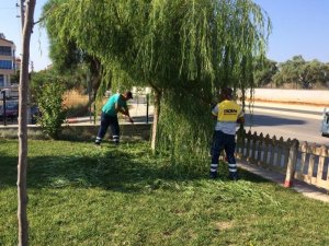Didim Belediyesi Yeşil Alanlarda Temizliğe Devam Ediyor