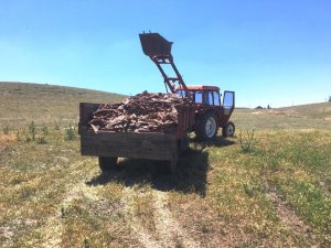 Kütahya’da Çevreyi Kirleten Kişiler Hakkında Soruşturma Başlatıldı