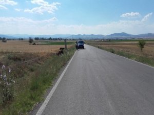 Kontrolden Çıkan Traktör Devrildi, 1 Kişi Yaralandı