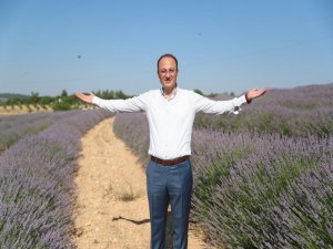 Türkiye’nin Kekik Üretim Merkezinde Lavantalar Da Yerini Almaya Başladı