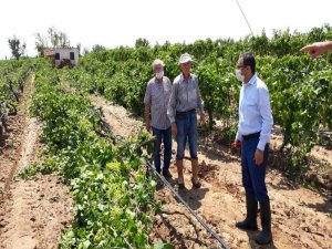 Kaymakam Uçgun, Fırtınadan Zarar Gören Üreticileri Ziyaret Etti