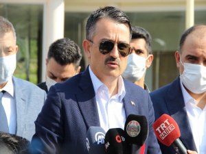 Bakan Pakdemirli’den Gelibolu Yangınıyla İlgili Açıklama