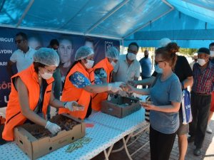 Kuşadası Belediyesi Görev Şehitlerini Unutmadı