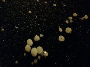 Salihli’yi Sağanak Yağmur Ve Dolu Vurdu