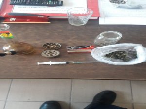 İzmir’de Yasa Dışı Kenevir Ekimi Ve Uyuşturucu Operasyonu