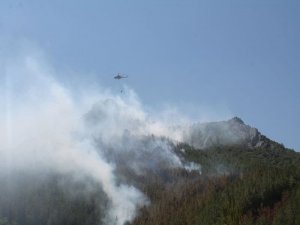 Yıldırım Düştü, 3 Hektar Ormanlık Alan Yandı