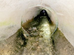 Su Borusunda Mahsur Kalan Yavru Köpeği İtfaiye Kurtardı