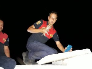 Soba Bacasına Giren Yavru Kediyi Kurtarmak İçin Seferber Oldular