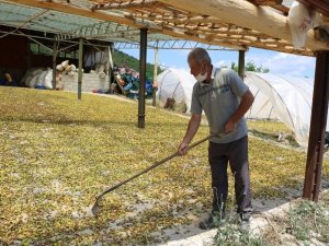 300 Kişiye İş İmkanı Sağlıyor, Ancak İş Yerine Elektrik Alamıyor