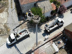 Annelerini Kaybeden Leylek Yavrularını Elleriyle Besliyorlar