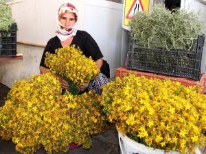 5 Liralık Şifa Kaynağı