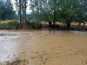 Bir Anda Yağan Yağmur Ve Dolu İle Köyü Sel Bastı