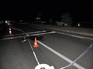 Traktör, Otomobil Ve Hafif Ticari Aracın Karıştığı Kazada 1 Kişi Öldü