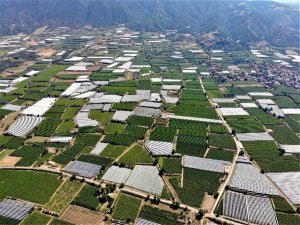 Sarıgöl Ovası Beyaz Örtüyle Kaplanıyor