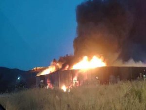 Yangından Etkilenen Muhabbet Kuşlarını İtfaiye Kurtardı