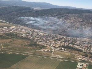 Söke Sazlıköy’de Orman Yangını Çıktı