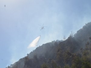 Söke’deki Yangına 4 Helikopter, 20 Arazöz Müdahale Etti