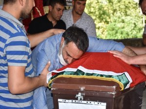 Şehit Orman İşçisi Son Yolculuğuna Uğurlandı