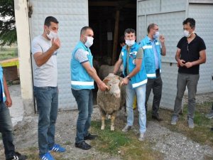 Dumlupınar’da 48 Vatandaşa 71 Koç Dağıtıldı