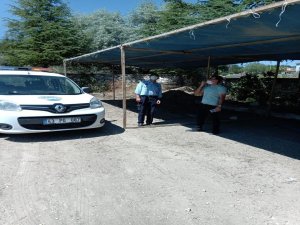 Emet’e Hayvan Pazarı