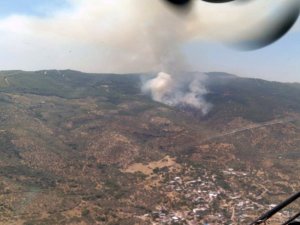Aydın’da Orman Yangını